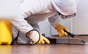 Best Pest Exclusion Services  in Seymour, TX